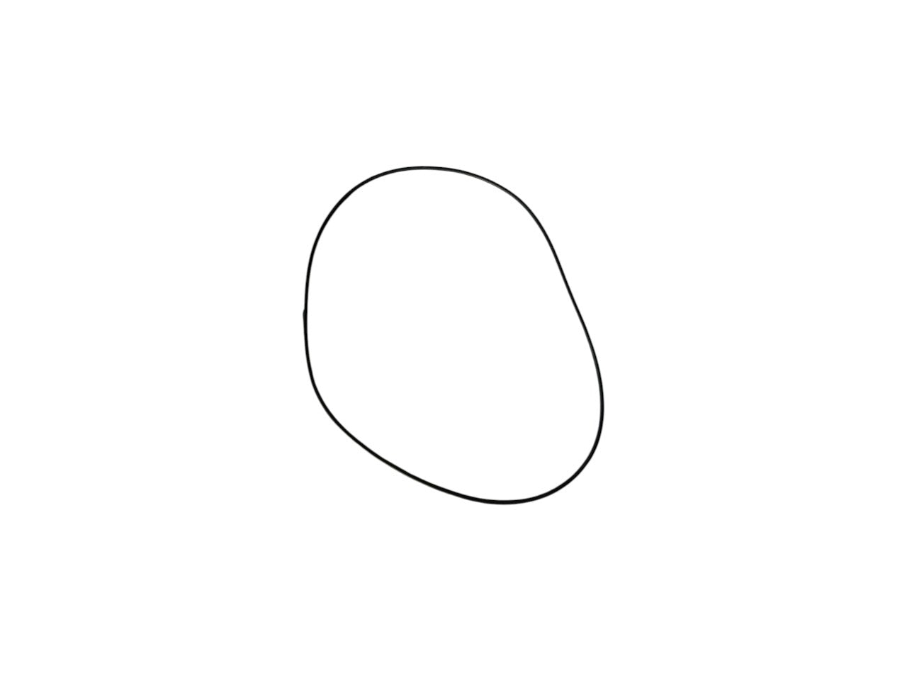 GASKET - GT35 RUBBER O-RING