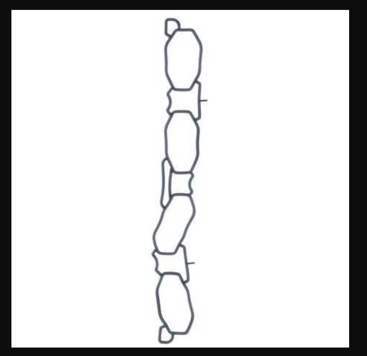 MG3972 - Permaseal Manifold Inlet Gasket MR18DE/MR20DE