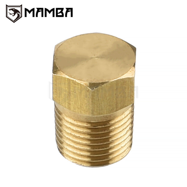 Mamba 50 Pcs x Brass Hex Head Solid Male Plug 1/8" BSPT (1/8-28, 1/8BSPT)